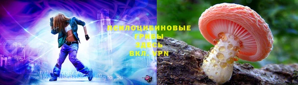 крисы Нязепетровск