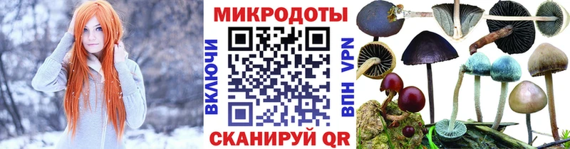 Галлюциногенные грибы Magic Shrooms  где продают наркотики  Элиста 