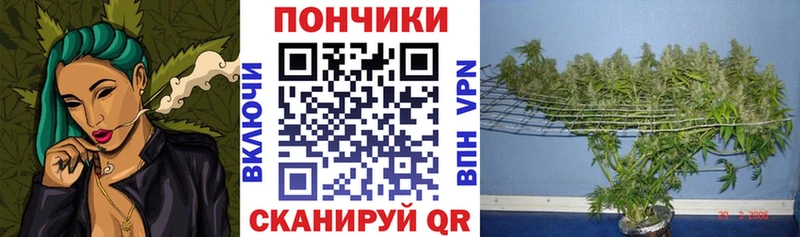 даркнет сайт  Элиста  МАРИХУАНА MAZAR 